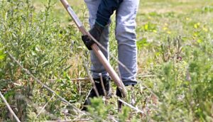 Reaseheath College stages weekend landscaping course