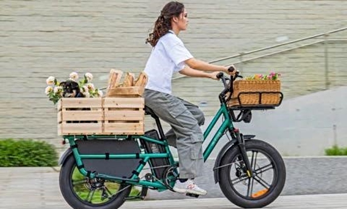 cargo bike feature