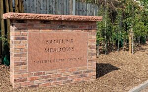 Councillors give green light to eco-burials plan in Shavington