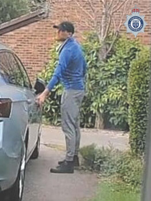 Media Appeal image