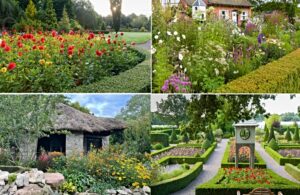 Bridgemere contends in RHS Garden of Year competition