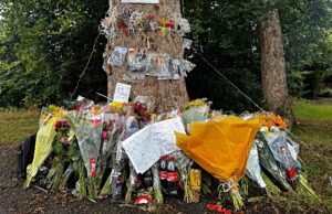 Roadside shrine grows in tribute to motorcyclist killed in crash