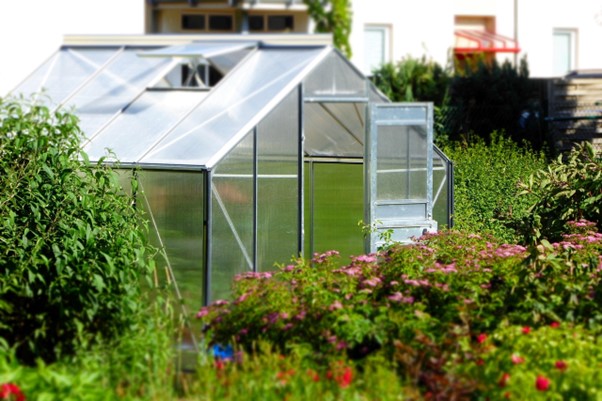 greenhouse feature