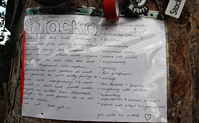 tribute to Stocko on tree