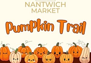 Families invited to take part in Nantwich’s Pumpkin Trail this month