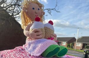 Thieves drop boob in Shavington after stealing knitted post box topper