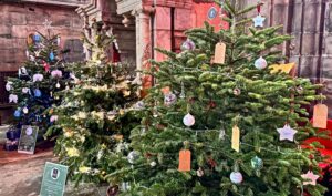 Nantwich shines bright at Christmas Tree Festival for St Luke’s Hospice