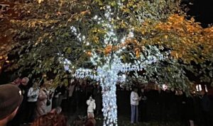 Hundreds gather for Tree of Light ceremony in Nantwich