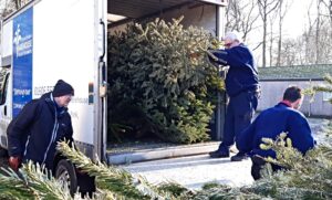 St Luke’s Hospice launches Christmas tree collection scheme