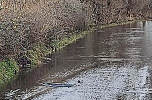 Willaston councillor demands action on road flooded for three months