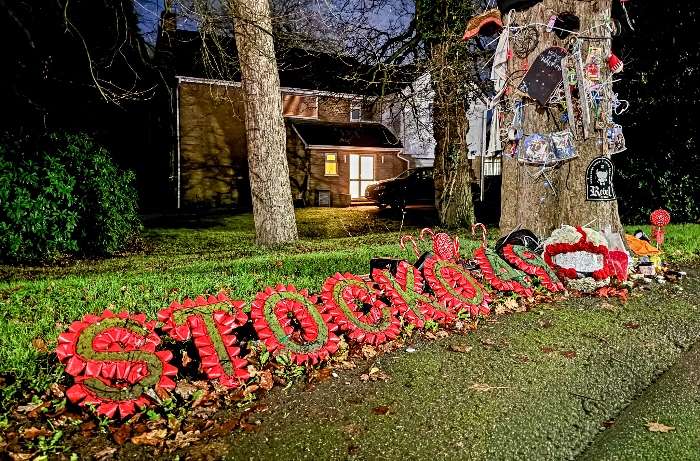 STOCKO49 at the base of the tree (1)