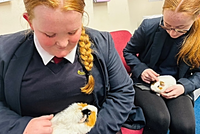 Malbank pupils with guinea pigs