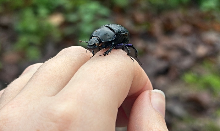 Project DUNG nomination - pic SUPPLIED BY NICOLE HATCHER