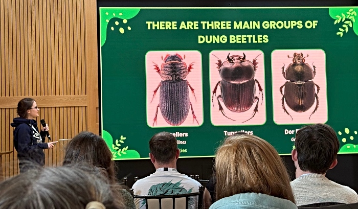 Third pic of Project DUNG nomination - SUPPLIED BY NICOLE HATCHER