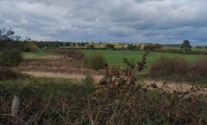 Holiday cabins plan for Cholmondeley Estate near Nantwich