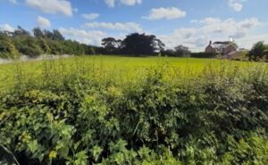 New homes at Maylands Nantwich set to be approved