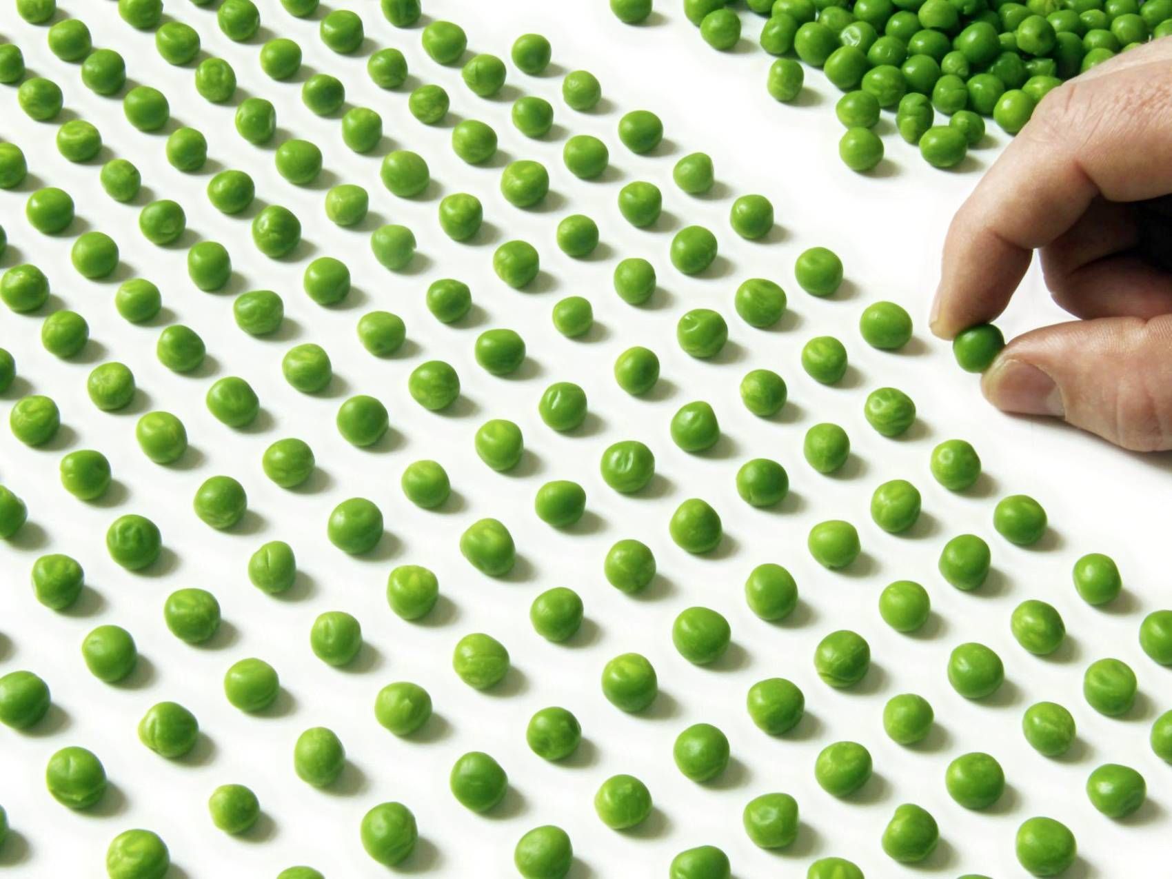 OCD feature