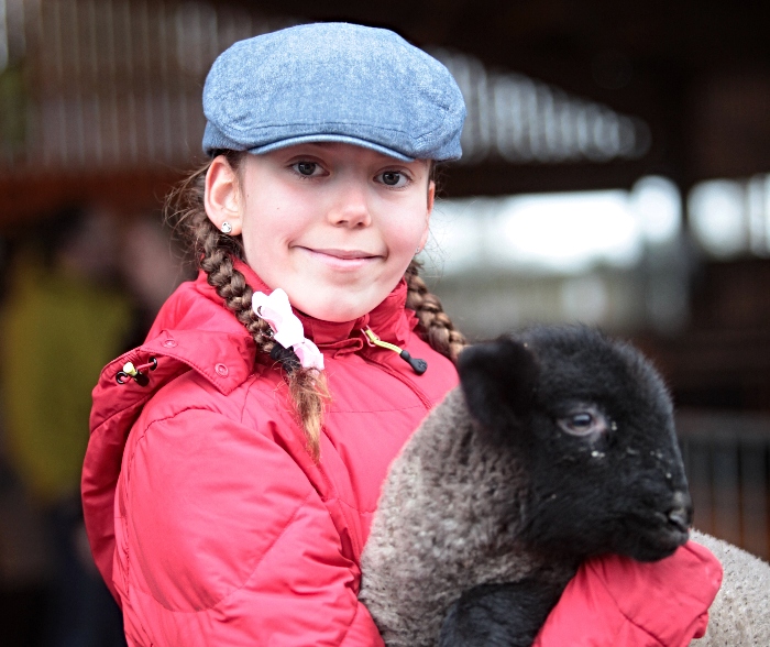 Lambing - Alice Furlong