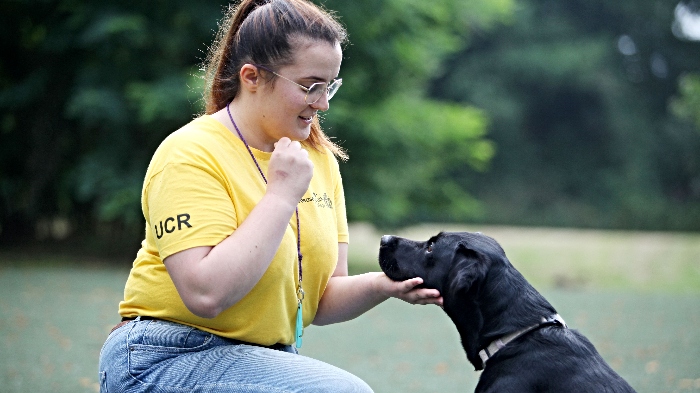 Euthanasia rates for stray dogs triple as more animals enter UK shelters - Paige and Tilly