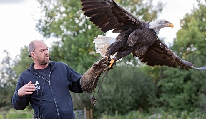 Gauntlet Birds of Prey 2 - Bunbury Village Day