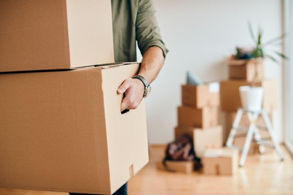 freepik - removals feature