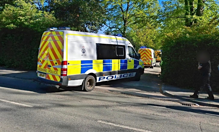 police vans during raid