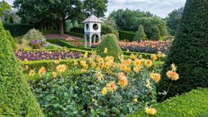 Bridgemere Garden Centre to stage new food festival in June