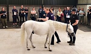 RSPCA equine specialists to speak at education event in Nantwich