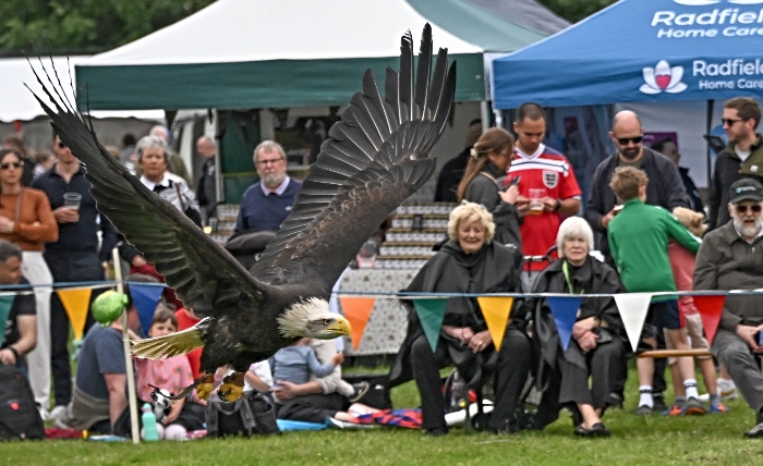 Gauntlet Birds of Prey at Bunbury Village Day - 13 June 2026 (1) (1)