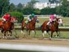 Royal Ascot Gold Cup 2026: Chester Racecourse runners to watch