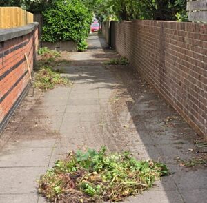 litter pick cow fields alleyway 1