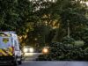 Fallen tree blocks busy road near Nantwich Marina
