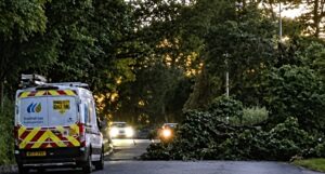 Fallen tree blocks busy road near Nantwich Marina