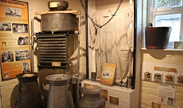 Cheese exhibition at Nantwich Museum (1)