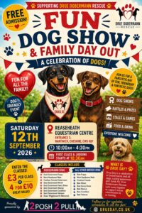 Fun dog show flyer