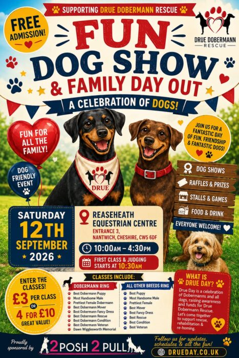 Fun dog show flyer