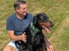 Nantwich to host DRUE Dobermann dog show and family day