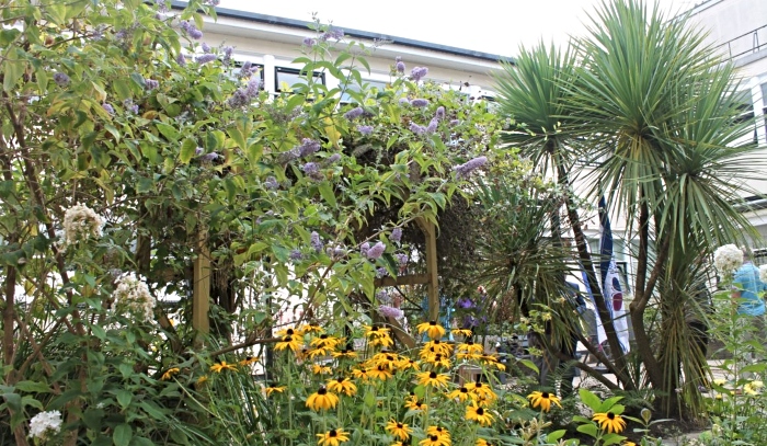 Staff courtyard garden - Downing Street