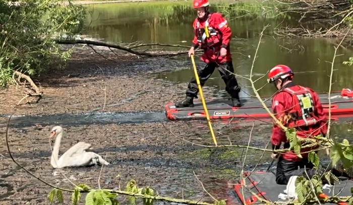 fire crews rescue Felix