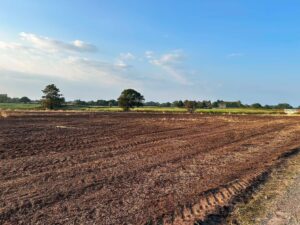 Fire crews battle large blaze in fields at Hunsterson near Nantwich