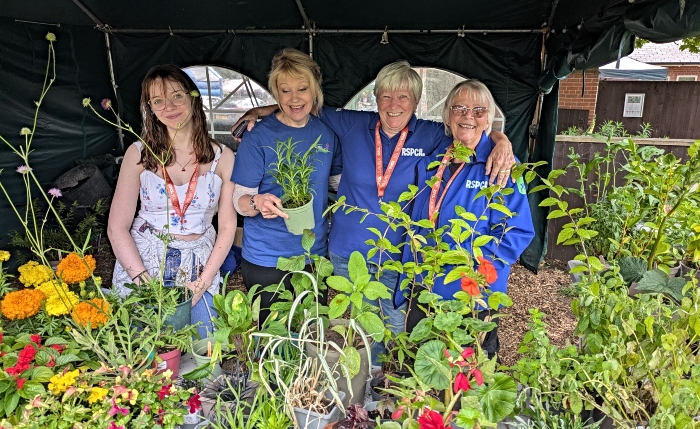 summer fair 1 - RSPCA Stapeley Grange