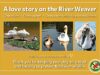 Town rallies to protect Nantwich swans after recent deaths