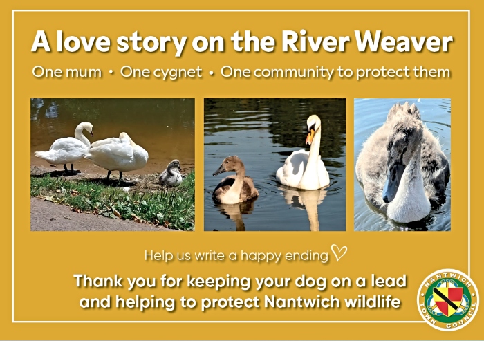 swan information board 1