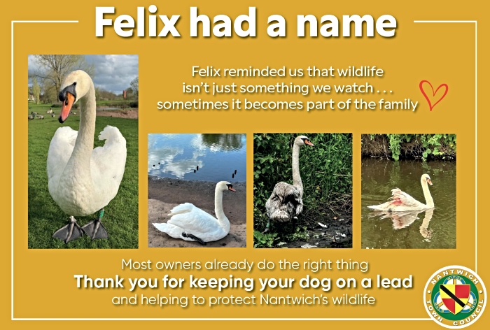 swan information board 2