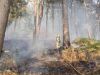 Cheshire Fire crews battle large wildfire near Bickerton