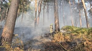 Cheshire Fire crews battle large wildfire near Bickerton