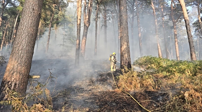 wildfire pic 1