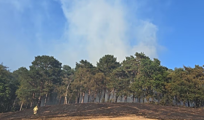 wildfire pic 3