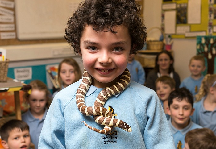 exotic animals - A Year 2 Pear Tree pupil wearing a snake scarf