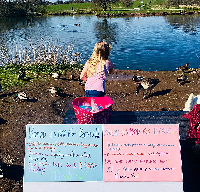 Alicia at nantwich lake - bird seed